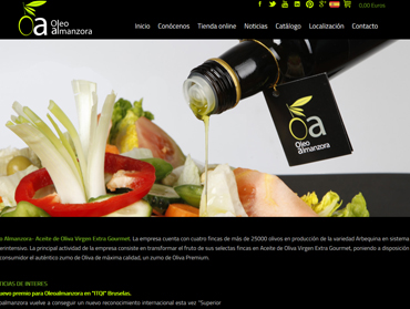 diseño pagina web  murcia